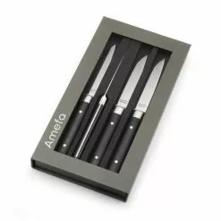 Coffret 4 Couteaux Steak Fusion 22 Cm Amefa -Moulin Soldes Boutique coffret 4 couteaux steak fusion 22 cm amefa 2